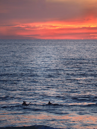 Clothing Store «Patagonia Cardiff-by-The-Sea», reviews and photos, 2185 San Elijo Ave, Cardiff, CA 92007, USA