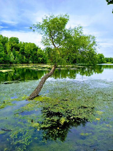 Golf Course «Sylvan Glen Golf Course», reviews and photos, 5725 Rochester Rd, Troy, MI 48085, USA