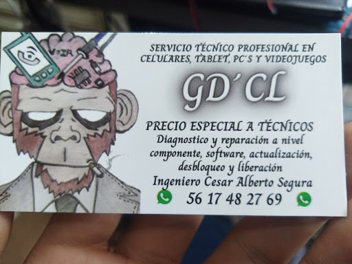 Servicio Tecnico Profesional GD'CL