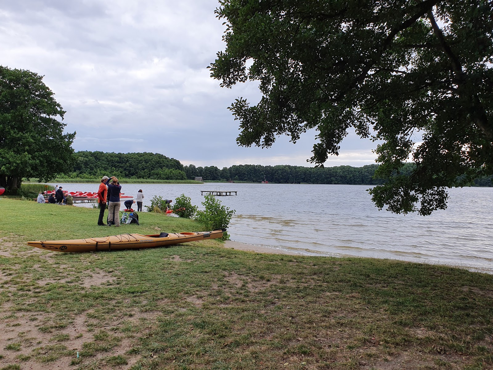 Foto af Granzow Strand vildt område