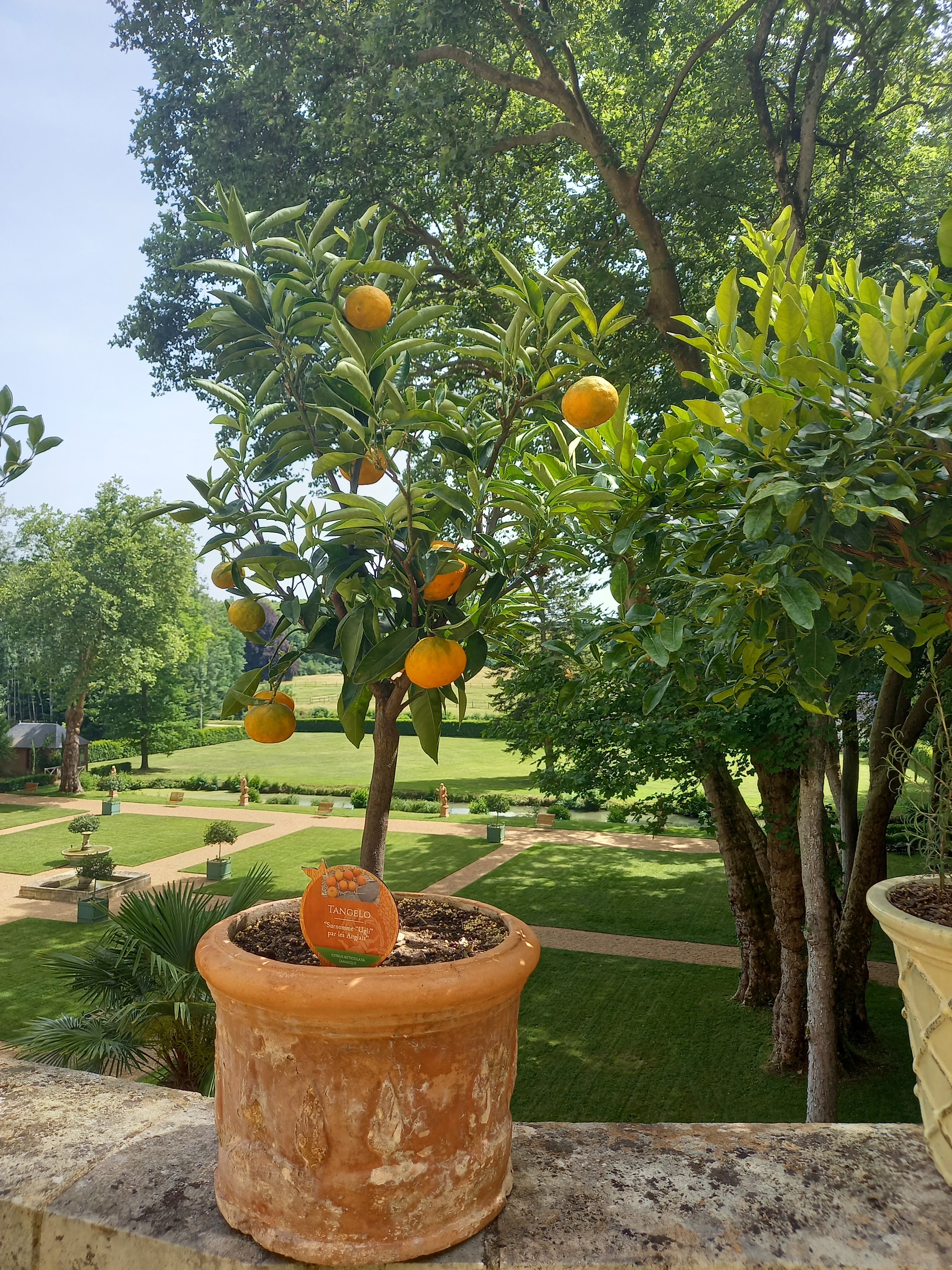 Photo n° 6 de l'avis de Dominique.h fait le 30/06/2022 à 14:56