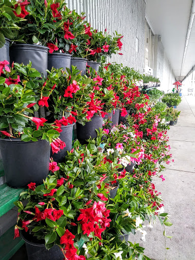 Discount Store «Kmart», reviews and photos, 2001 Main St, Brockton, MA 02301, USA