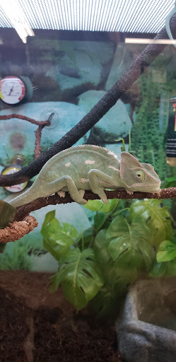 Pet Supply Store «Petco Animal Supplies», reviews and photos, 12014 SW 88th St, Miami, FL 33186, USA