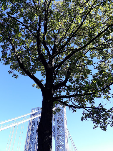 Historical Place «Fort Lee Historic Park», reviews and photos, Hudson Terrace, Fort Lee, NJ 07024, USA