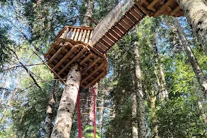 Le Pays Suspendu des Géants : filets suspendus dans les arbres image