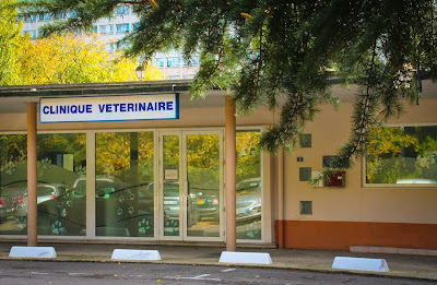 Dr Bordeau-Mercier Marie-Christine à Maisons-Alfort