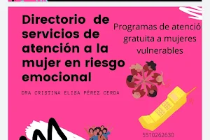 Dra. Cristina Elisa Pérez Cerda Clínica Integral de Psicoterapia y Rehabilitación Emocional image