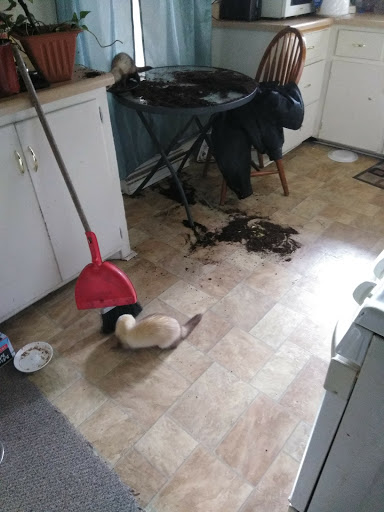 Pet Supply Store «Petco Animal Supplies», reviews and photos, 4950 S 76th St, Greenfield, WI 53220, USA