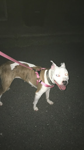 Pet Supply Store «Pet Supplies Plus», reviews and photos, 3120 NJ-35, Hazlet, NJ 07730, USA