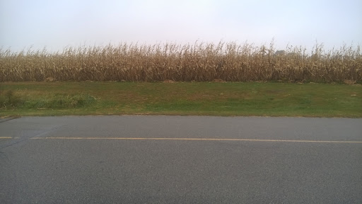 Golf «Diamond Trail Golf Club», reviews and photos, 9364 E 146th St S, Lynnville, IA 50153, USA