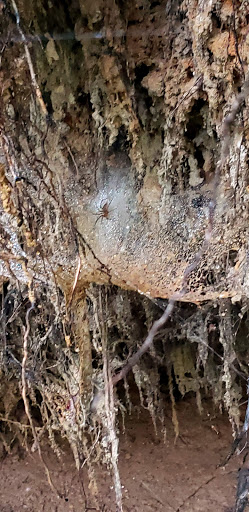 Nature Preserve «Wolf Rock Nature Preserve», reviews and photos, 251 Clover Mill Rd, Storrs, CT 06268, USA