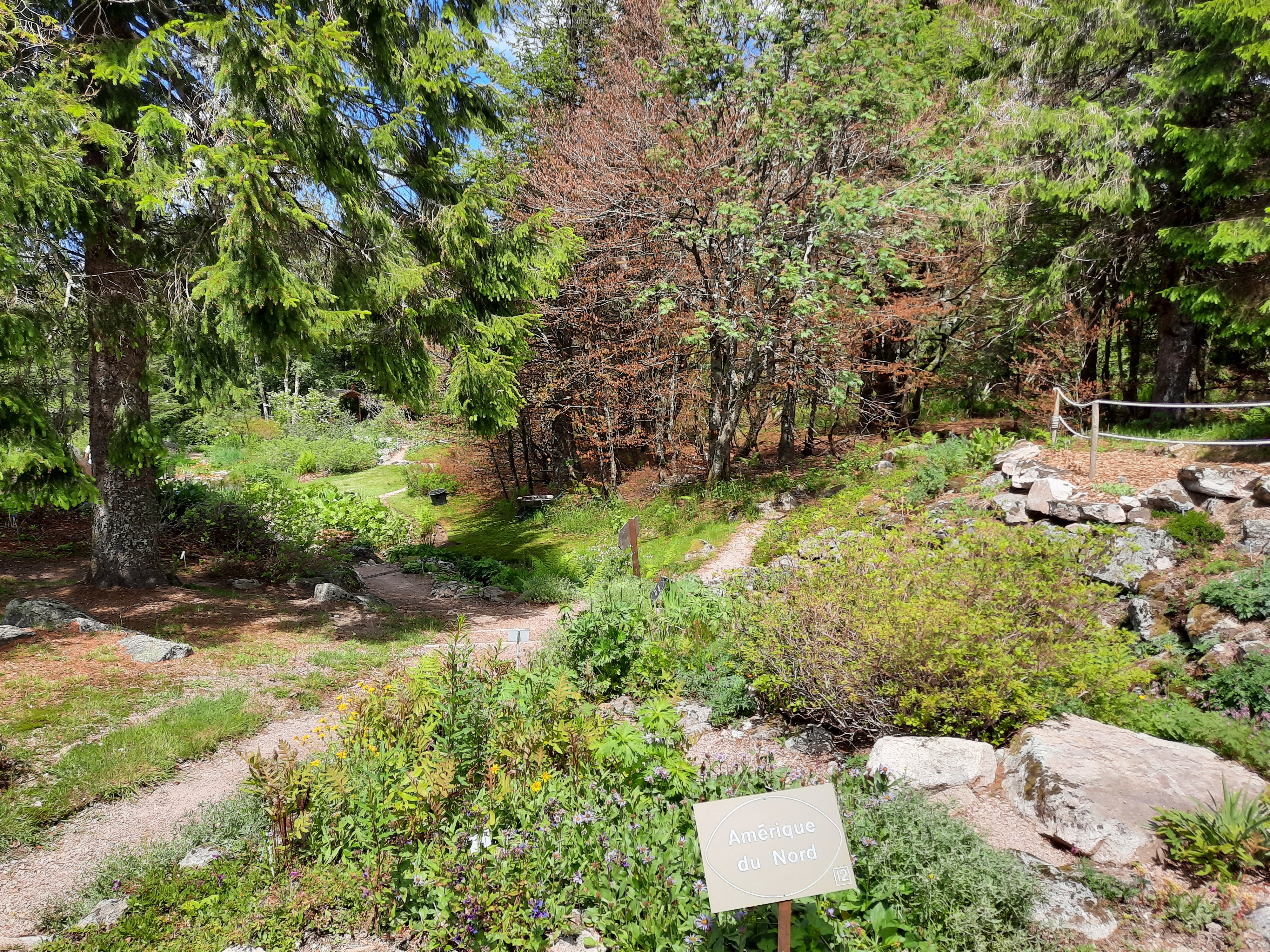 Photo n° 28 de l'avis de Victoria.e fait le 22/06/2020 à 21:37