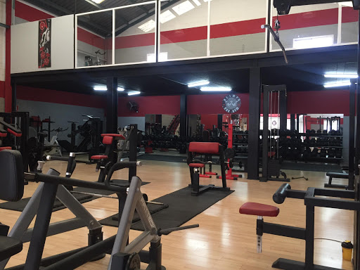 Olimpo Ngr Gym en Rincón de la Victoria, Málaga