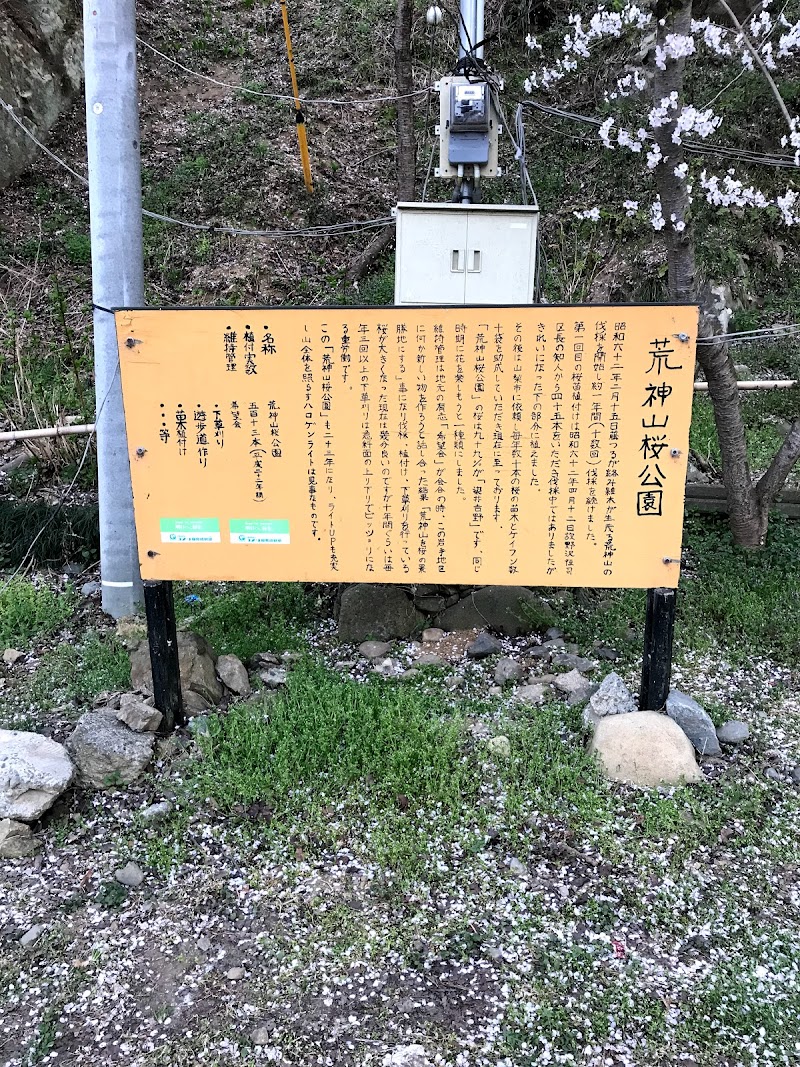 荒神山桜公園