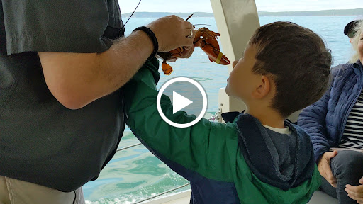 Sightseeing Tour Agency «Lulu Lobster Boat Ride», reviews and photos, 55 West St, Bar Harbor, ME 04609, USA