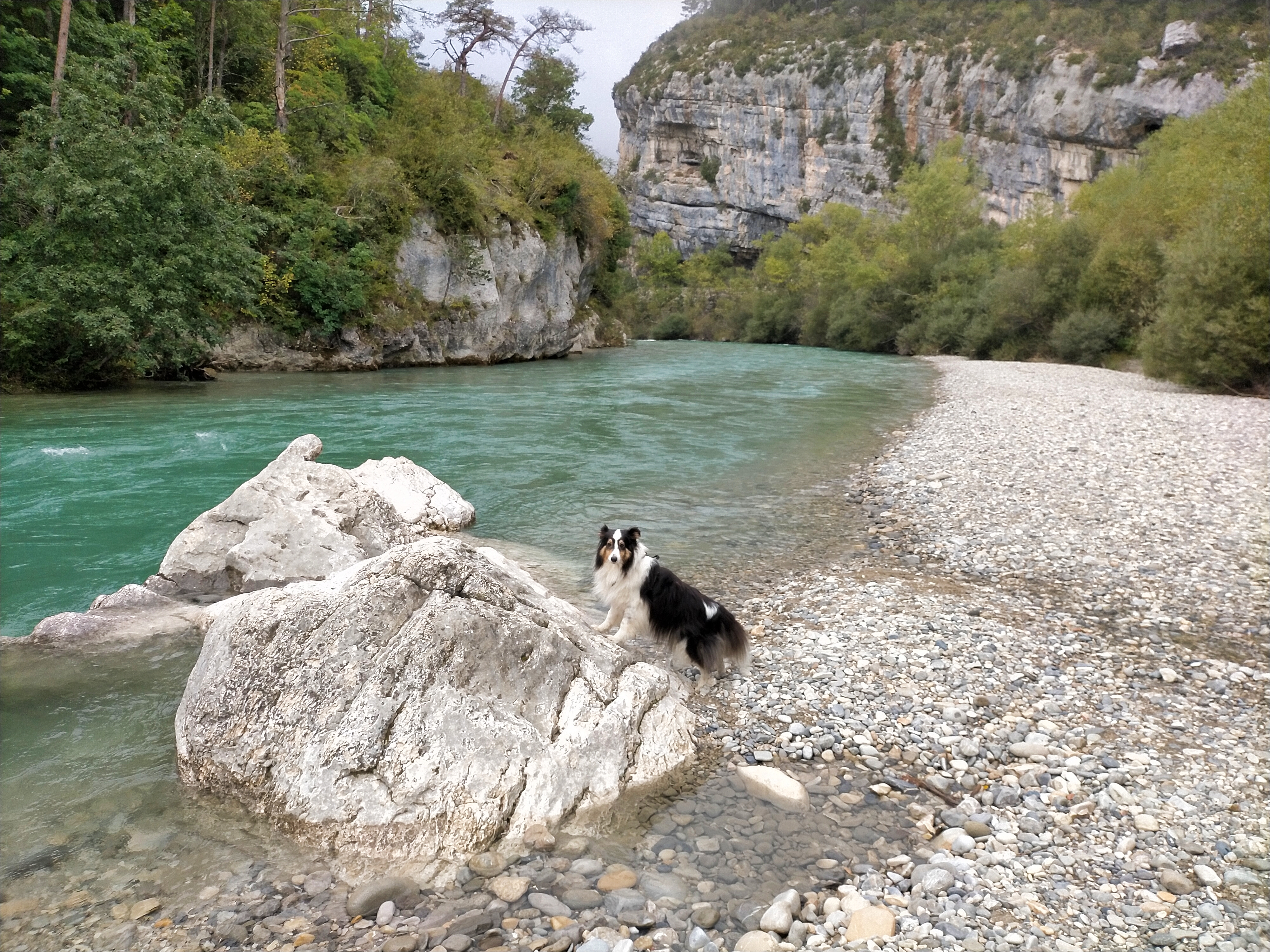 Photo n° 1 de l'avis de Nath.h fait le 01/10/2021 à 22:05