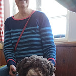 Photo n°2 de l'avis de Manfred.e fait le 30/01/2022 à 06:41 sur le  Küferhäusle à Schönwald im Schwarzwald