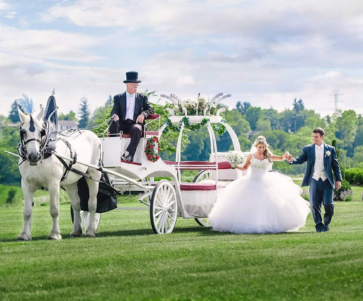 Event Planner «Divine Celebrations Event», reviews and photos, 15201 Pittsburgh Pa, Pittsburgh, PA 15201, USA