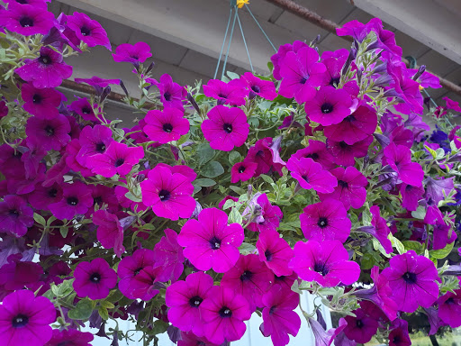 Garden Center «Flowerwood Garden Center Inc», reviews and photos, 7625 US-14, Crystal Lake, IL 60012, USA