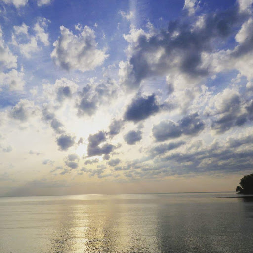 Bicycle Repair Shop «CITRUS PARK BIKES», reviews and photos, 7424 Edgemere Rd, Tampa, FL 33625, USA