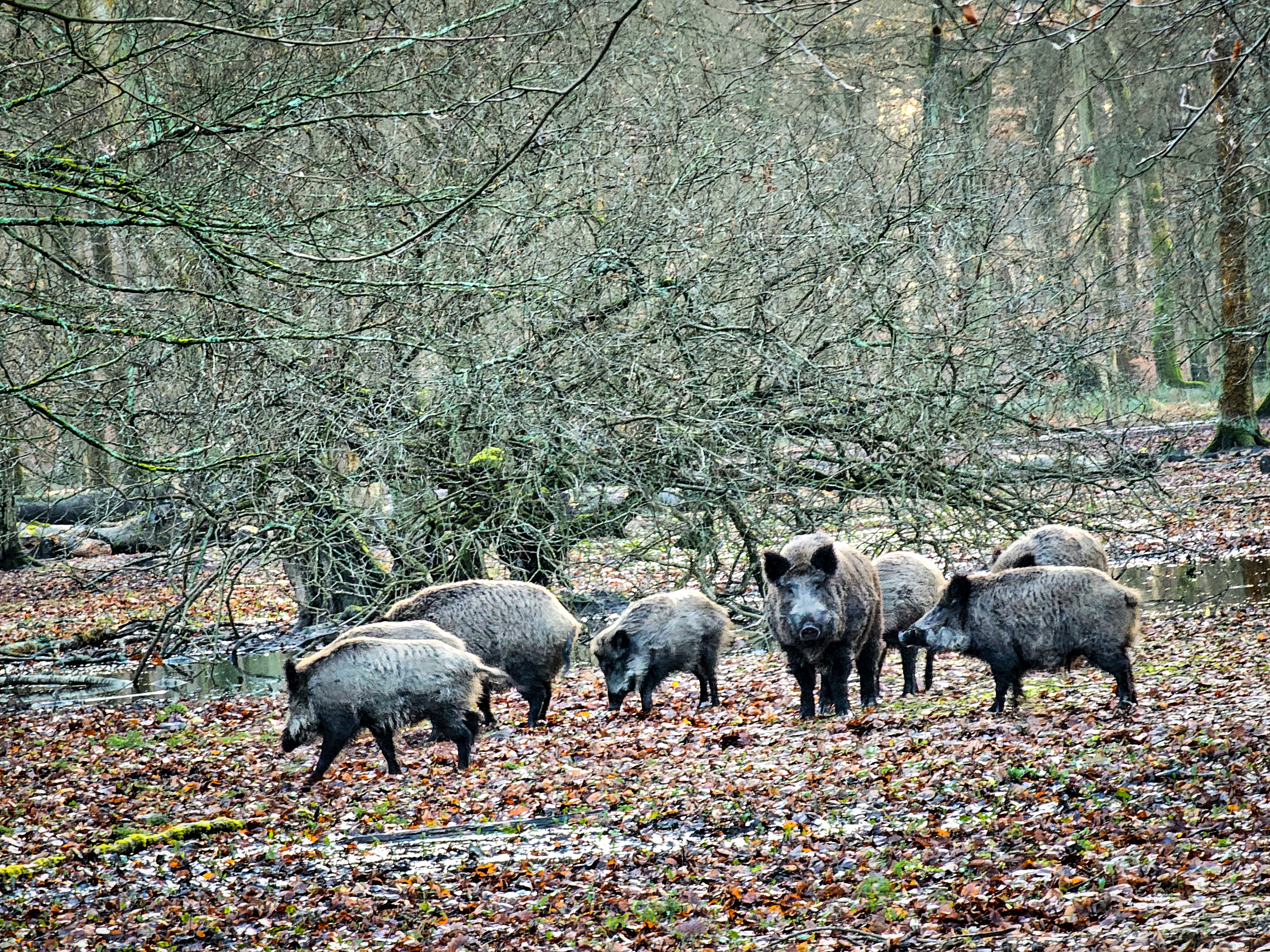 Photo n° 3 de l'avis de Nono.h fait le 09/12/2023 à 09:20