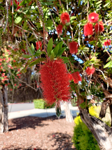 Supermarket «Lucky», reviews and photos, 34101 Fremont Blvd, Fremont, CA 94555, USA