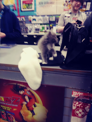 Video Game Store «GameStop», reviews and photos, 9085 Staples Mill Rd STE 3, Henrico, VA 23228, USA