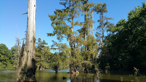Park «Leake County Water Park», reviews and photos, 1190 Park Rd, Lena, MS 39094, USA