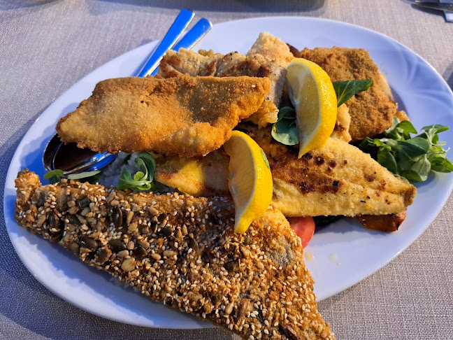 Opinii despre Halászkert Étterem în Balatonfüred - Étterem