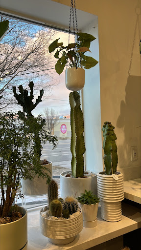 Orchid Grower «Orchid Dynasty», reviews and photos, 959 900 S, Salt Lake City, UT 84105, USA