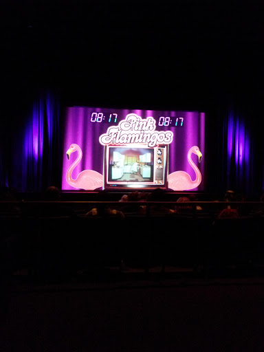 Movie Theater «O Cinema Miami Beach», reviews and photos, 500 71st St, Miami Beach, FL 33141, USA