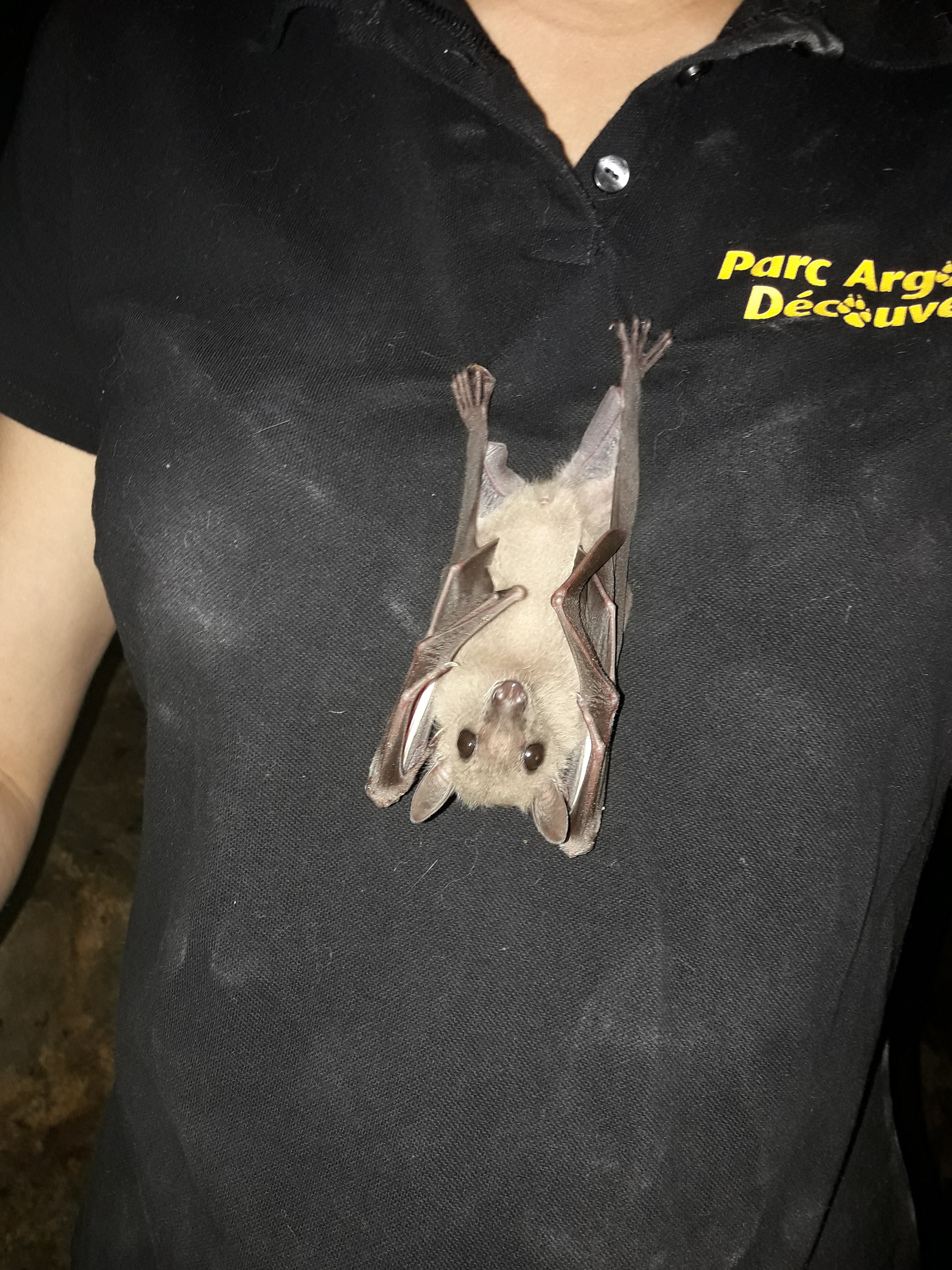 Photo n° 14 de l'avis de Christophe.l fait le 01/07/2018 à 13:30