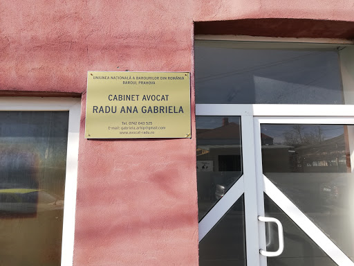 Lawyer Radu Ana