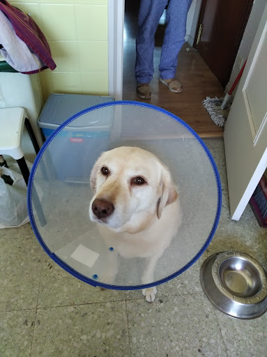 Clínica Veterinaria Haro en Haro