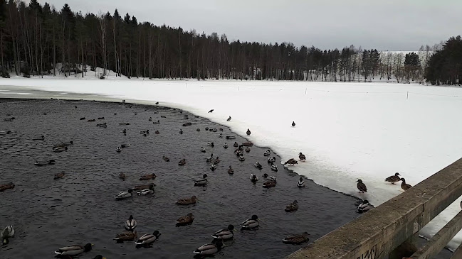 https://www.tampere.fi/liikunta/liikuntapaikat/sisaliikuntapaikat/hervannan-vapaa-aikakeskus