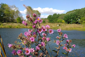 Quarry Hill Nature Center