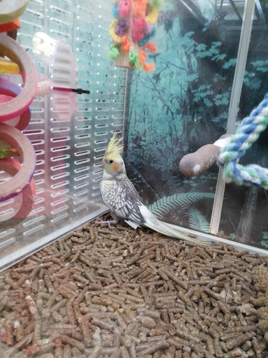 Pet Supply Store «Pet Supplies Plus», reviews and photos, 26230 Hoover Rd, Warren, MI 48089, USA