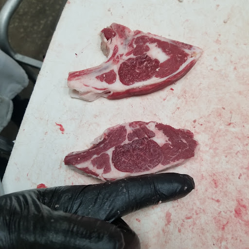 Skateboard Park «Paradise Valley Skate Park», reviews and photos, 17642 N 40th St, Phoenix, AZ 85032, USA