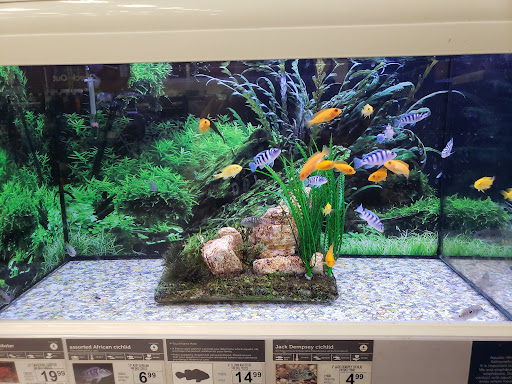 Pet Supply Store «Petco Animal Supplies», reviews and photos, 210 Nut Tree Pkwy, Vacaville, CA 95687, USA