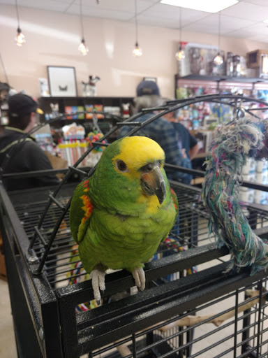 Pet Store «Pet Time», reviews and photos, 3141 W 11th Ave, Eugene, OR 97402, USA