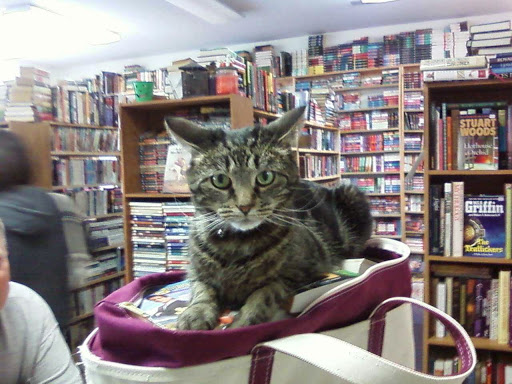 Used Book Store «R & B Used Books», reviews and photos, 12830 Saginaw Rd # F, Grand Blanc, MI 48439, USA