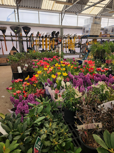 Discount Store «Walmart», reviews and photos, 80 Town Line Rd, Rocky Hill, CT 06067, USA