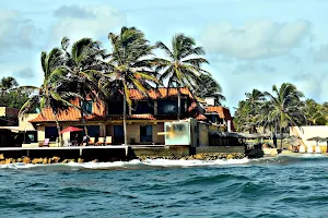 Posada Tortuga Bay image