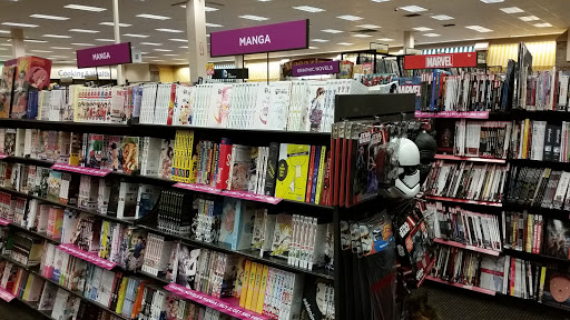 Book Store «Books-A-Million», reviews and photos, 9400 Atlantic Blvd, Jacksonville, FL 32225, USA