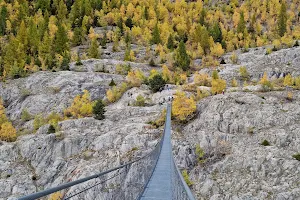 Belalp-Riederalp suspension bridge image