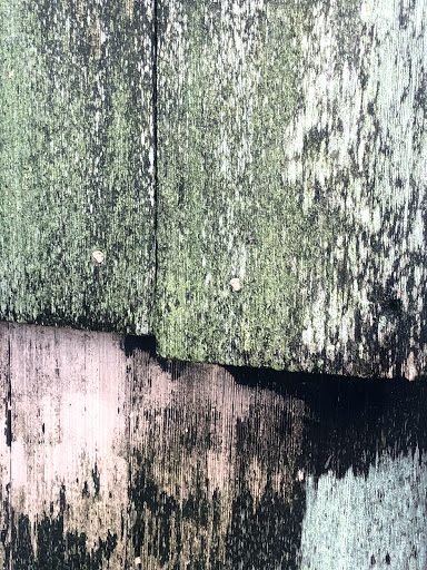 Aquarium «Seaside Aquarium», reviews and photos, 200 N Prom, Seaside, OR 97138, USA