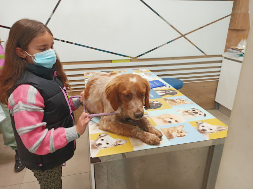 Policlínica Veterinaria 