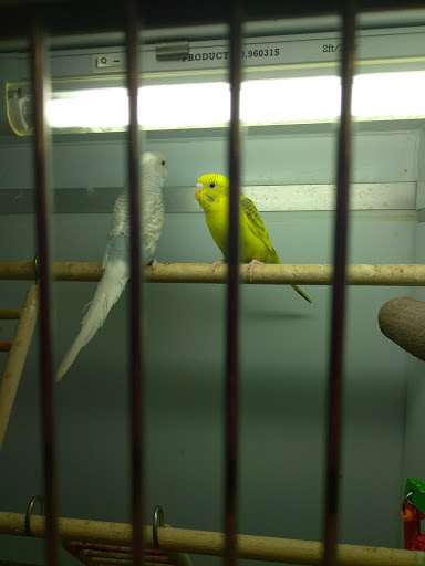 Pet Supply Store «Pet Supplies Plus», reviews and photos, 5708 State St, Saginaw, MI 48603, USA