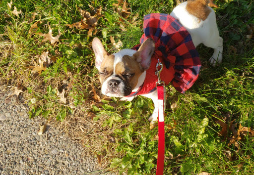 Pet Supply Store «PetSmart», reviews and photos, 111 Nassau Park Blvd, Princeton, NJ 08540, USA