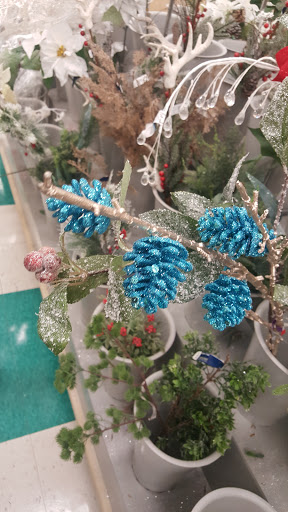 Craft Store «Michaels», reviews and photos, 540 Frandor Ave, Lansing, MI 48912, USA